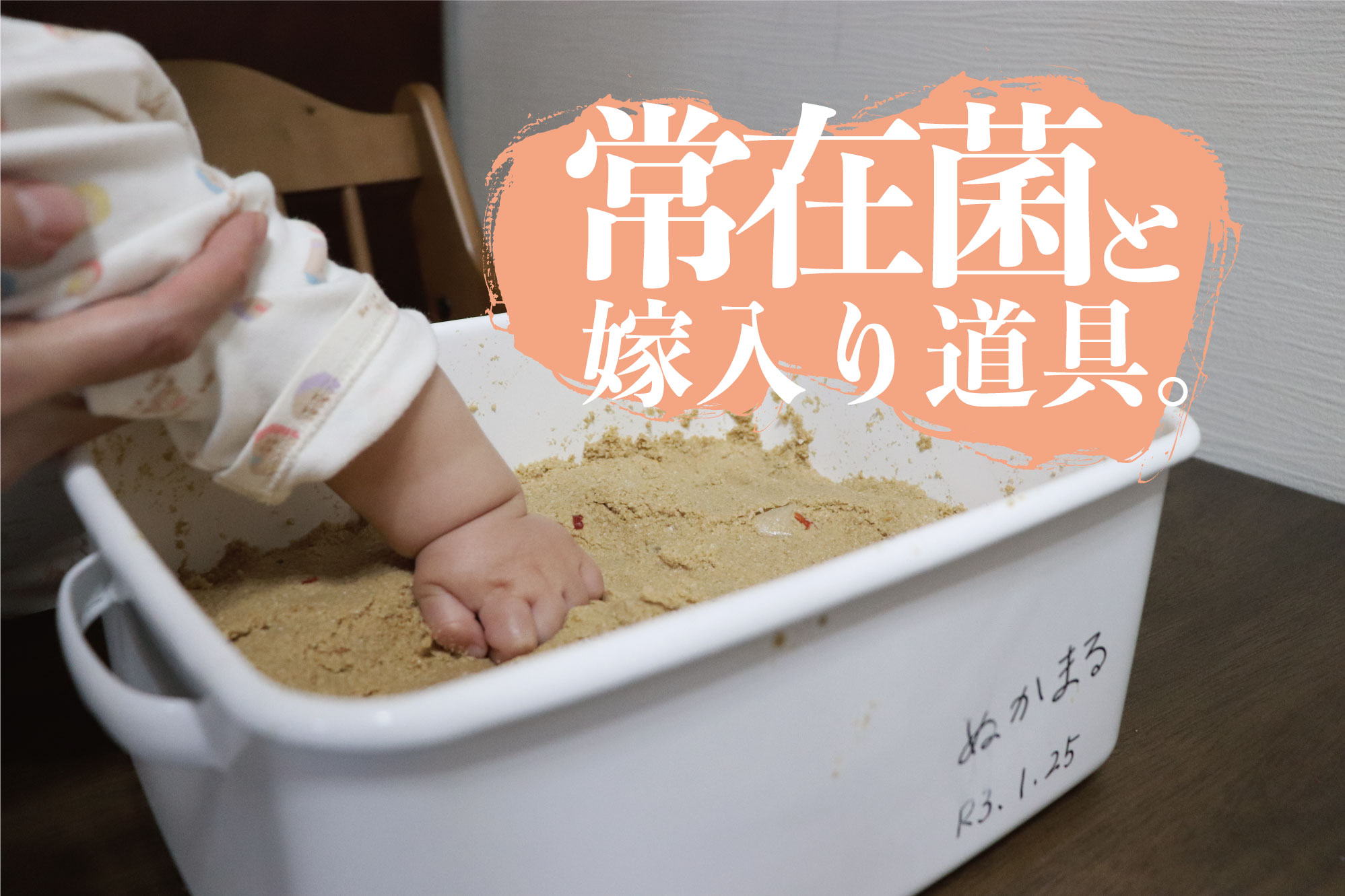 常在菌と嫁入り道具 パパライフブログ